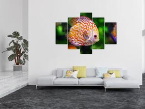 Slika ribe (150x105 cm)