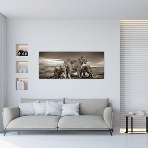 Slika crno-bijelih lavova (120x50 cm)
