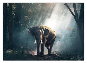 Slika slona u džungli (70x50 cm)