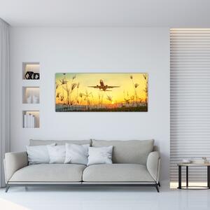 Slika zrakoplova u polijetanju (120x50 cm)