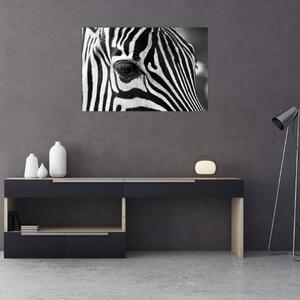 Slika zebre (90x60 cm)