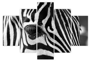 Slika zebre (150x105 cm)