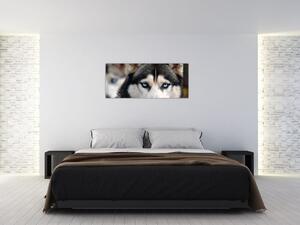 Slika haski psa (120x50 cm)