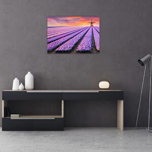 Slika - farma cvijeća (70x50 cm)