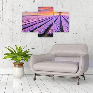Slika - farma cvijeća (90x60 cm)