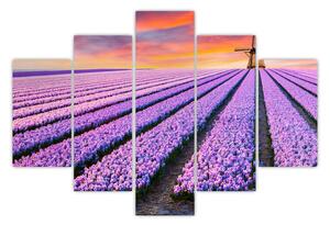 Slika - farma cvijeća (150x105 cm)