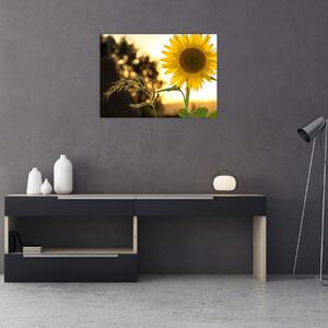 Slika suncokreta (70x50 cm)
