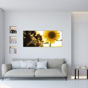 Slika suncokreta (120x50 cm)