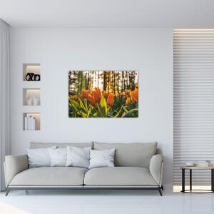 Slika - narančasti tulipani (90x60 cm)