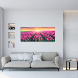 Slika polja tulipana sa suncem (120x50 cm)