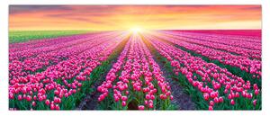 Slika polja tulipana sa suncem (120x50 cm)