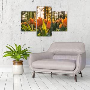 Slika - narančasti tulipani (90x60 cm)