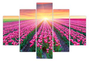 Slika polja tulipana sa suncem (150x105 cm)
