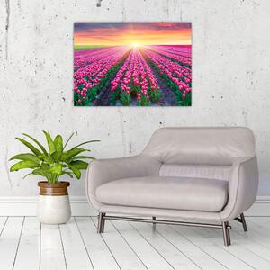 Slika polja tulipana sa suncem (70x50 cm)