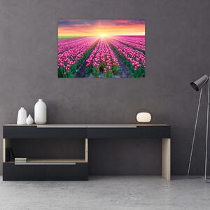 Slika polja tulipana sa suncem (90x60 cm)