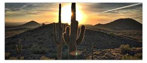 Slika - kaktusi na suncu (120x50 cm)