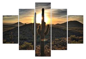 Slika - kaktusi na suncu (150x105 cm)