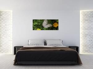 Slika - bijeli leptir (120x50 cm)