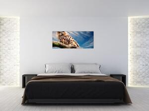 Slika sove (120x50 cm)
