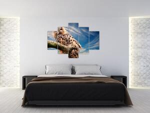 Slika sove (150x105 cm)