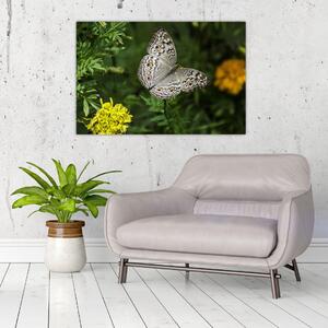 Slika - bijeli leptir (90x60 cm)