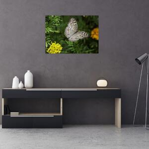 Slika - bijeli leptir (70x50 cm)