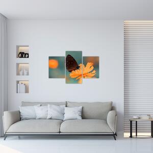 Slika - leptir na narančastom cvijetu (90x60 cm)