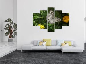 Slika - bijeli leptir (150x105 cm)