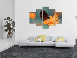 Slika - leptir na narančastom cvijetu (150x105 cm)