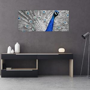 Slika - plavi paun (120x50 cm)