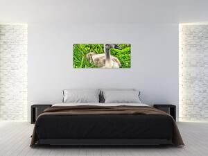 Slika - mali labud u travi (120x50 cm)