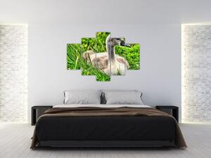 Slika - mali labud u travi (150x105 cm)