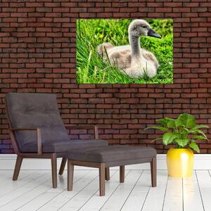 Slika - mali labud u travi (90x60 cm)