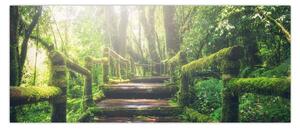 Slika - drvene stepenice u šumi (120x50 cm)