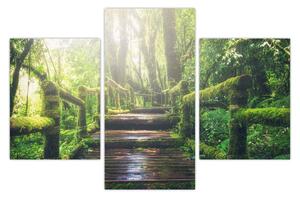 Slika - drvene stepenice u šumi (90x60 cm)