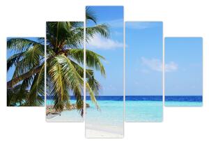 Slika palme na plaži (150x105 cm)