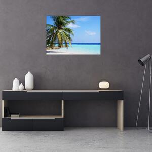 Slika palme na plaži (70x50 cm)