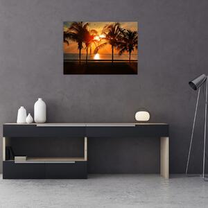 Slika palme pri zalasku sunca (70x50 cm)