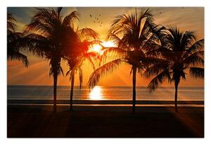 Slika palme pri zalasku sunca (90x60 cm)