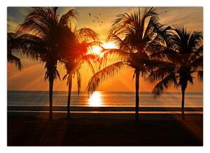 Slika palme pri zalasku sunca (70x50 cm)