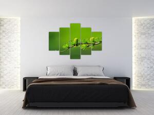 Slika zelenog češera (150x105 cm)