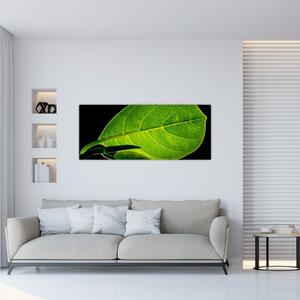 Slika - zeleni list (120x50 cm)