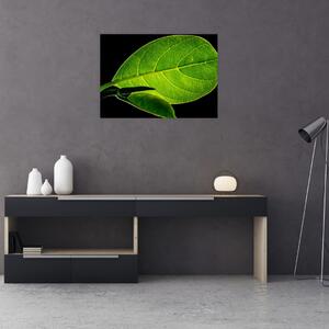Slika - zeleni list (70x50 cm)