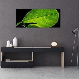 Slika - zeleni list (120x50 cm)