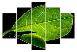 Slika - zeleni list (150x105 cm)