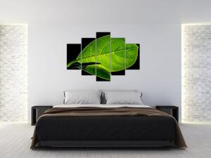 Slika - zeleni list (150x105 cm)