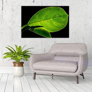 Slika - zeleni list (90x60 cm)