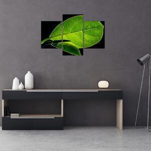 Slika - zeleni list (90x60 cm)