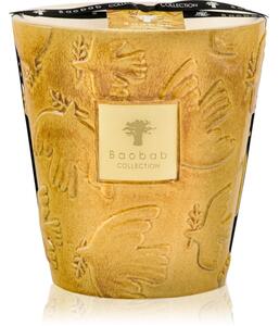 Baobab Collection Paz Dove mirisna svijeća 1000 g