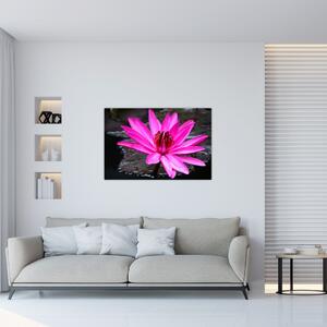 Slika - ružičasti cvijet (90x60 cm)
